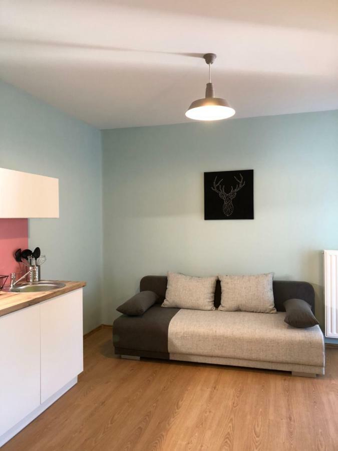White Crow House Apartment Heviz Bagian luar foto